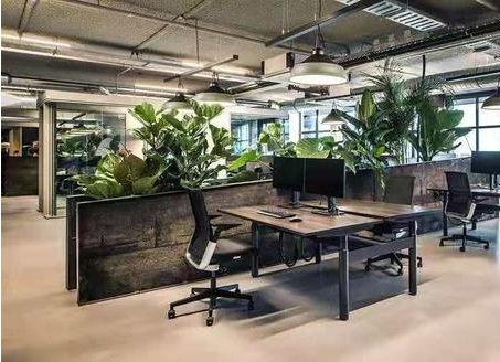 1666054856537206.png image.png